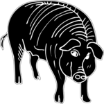 Pig 09