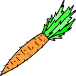 Carrot 17