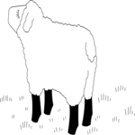 Sheep 01