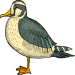 Duck 47