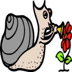 Horn Player - Snail