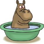 Hippo Bathing 2