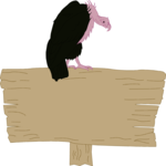 Vulture on Sign