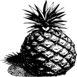 Pineapple 02