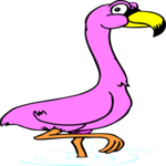 Flamingo 03