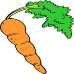 Carrot 29