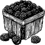 Blackberries 1