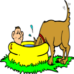 Dog & Kiddie Pool