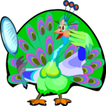 Peacock - Vain