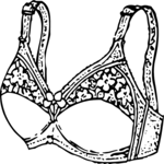 Bra 3