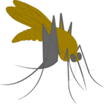 Mosquito 4