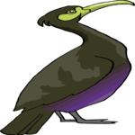 Cormorant 5