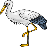 Stork 7