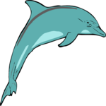 Dolphin 14