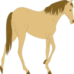 Horse 23