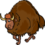 Bison 2