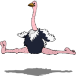 Ostrich Leaping
