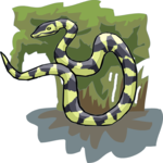 Snake 12
