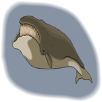 Whale - Bowhead
