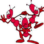 Ants - Acrobats