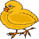 Chick 04