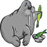 Walrus with Fish 1