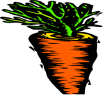 Carrot 25