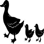 Duck Family 2