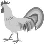 Rooster 07