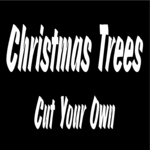 Trees - Cut Your Own