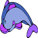 Dolphin 6