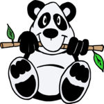 Panda & Bamboo