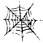 Spider Web 4