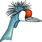 Crowned Crane 1