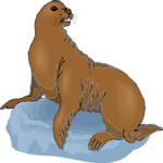 Seal 24