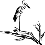 Stork 1