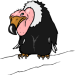 Vulture 06