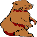 Beaver