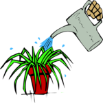 Watering a Plant