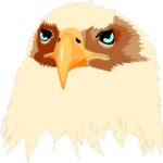 Eagle 03