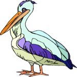 Pelican 09
