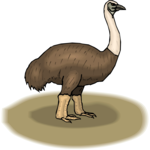 Ostrich 09