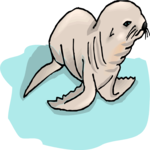 Seal - Pup
