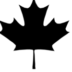 Maple Leaf 3