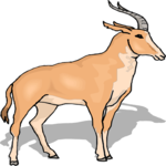 Antelope 47