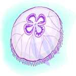 Jellyfish 11