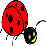 Ladybug 06
