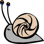 Snail 18