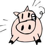 Pig Grinning 1