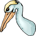 Pelican 15